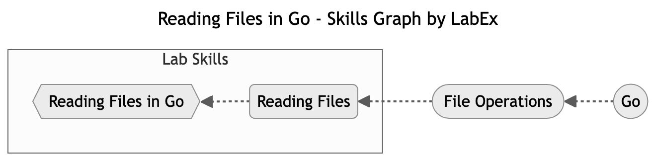 Skills Graph
